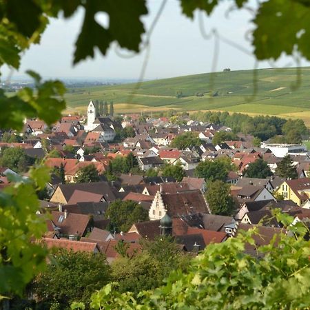 Ferienwohnung Schneckental Pfaffenweiler Esterno foto